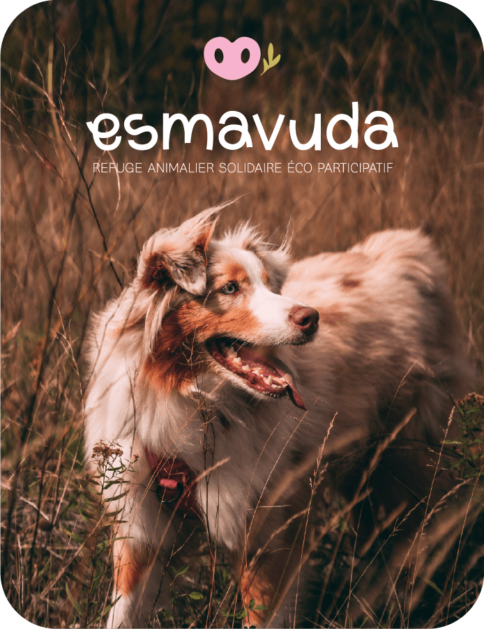 Photo d'un chien avec le logo esmavuda
